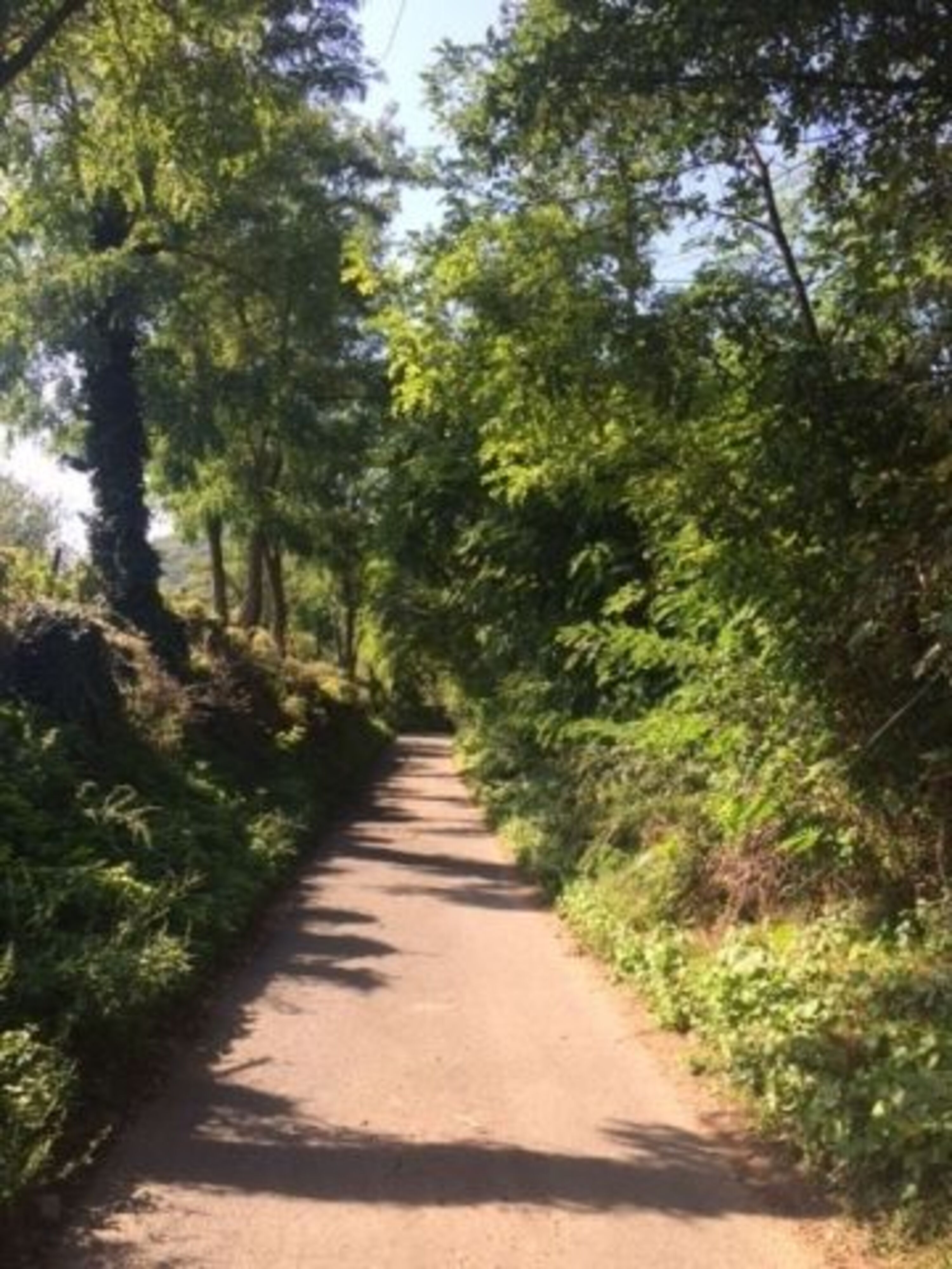 Weg zum Haus