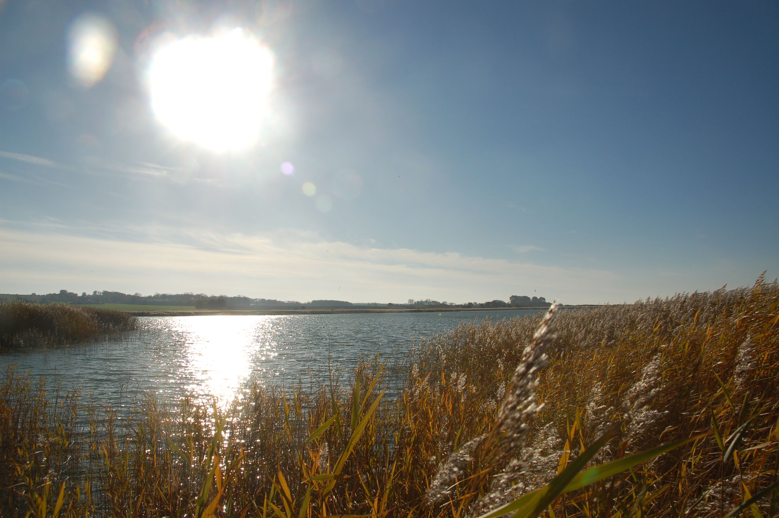 Genießen Sie Ihren Urlaub im "grünen" und naturnahen Ostseebad Kühlungsborn - ideal gerade auch für Gäste mit Hund!