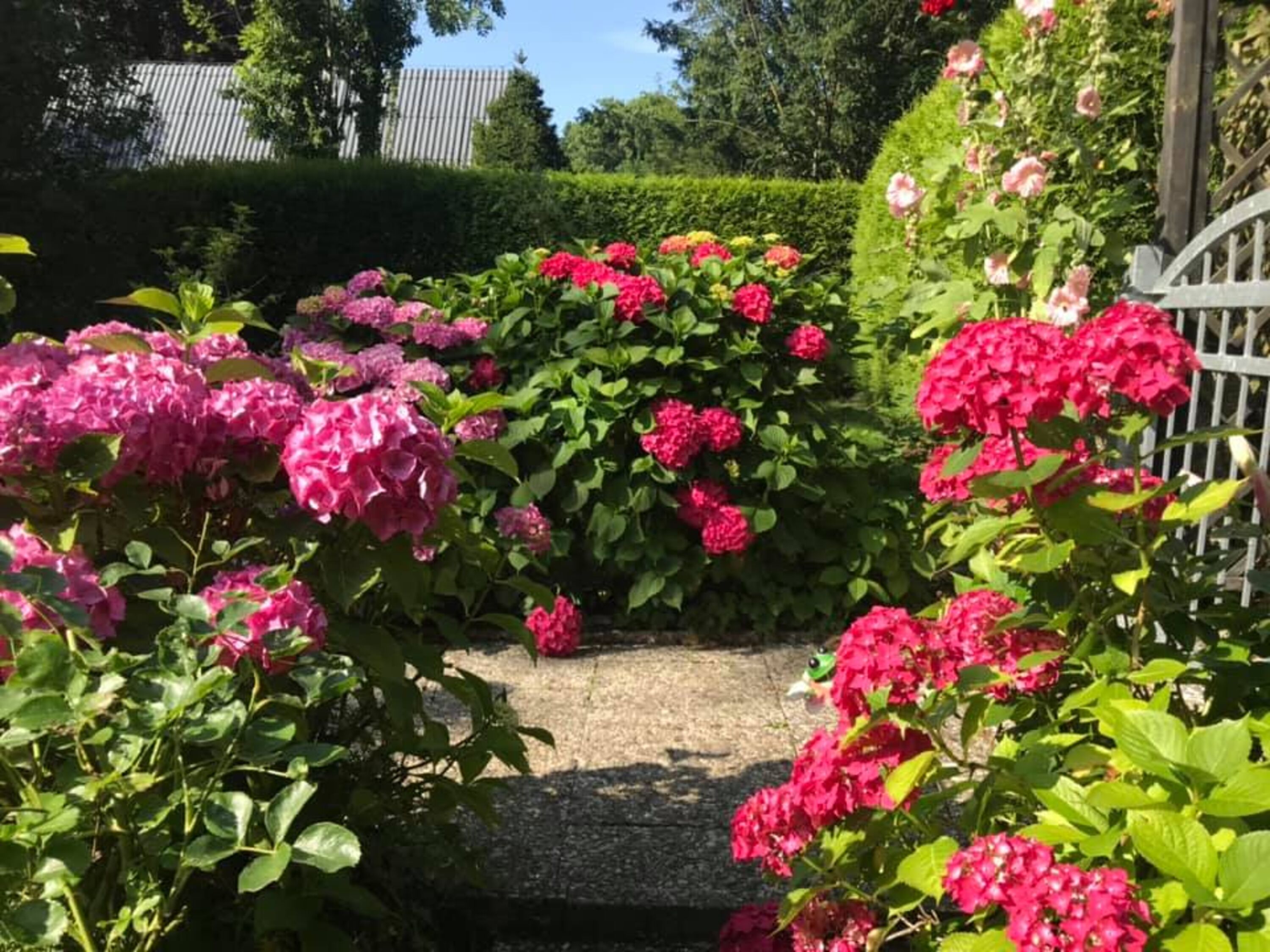 Pflanzen am Eingangstor