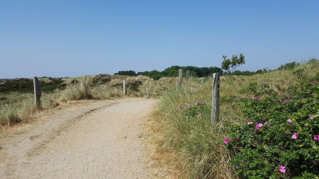 Dünenwege beginnen ab Haus