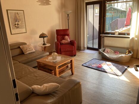 Wohnzimmer Hundekorb