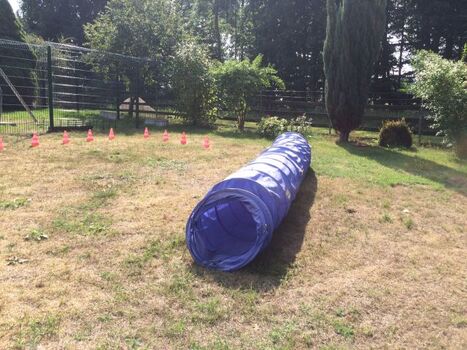 Agility kann noch ausgebaut werden Div. Sachen vorhanden