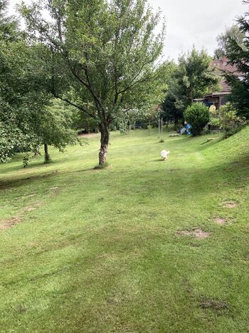 Das große Grundstück zur Mitbenutzung