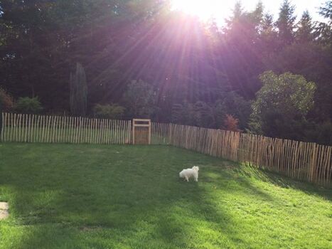 eigener Gartenbereich für die Ferienwohnung