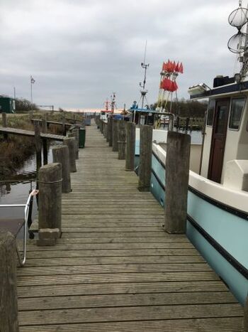 Fischerboote im Hafen Lippe