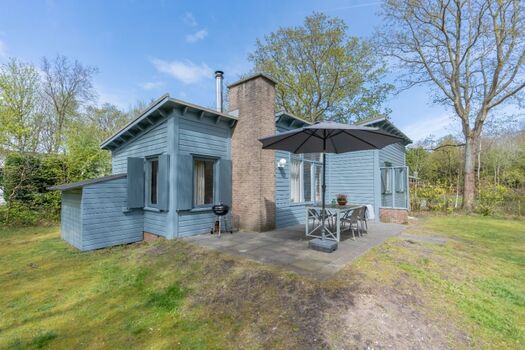 Der sonnige Garten mit Terrasse