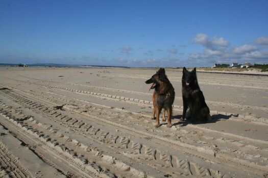 der kilometerlange Sandstrand
