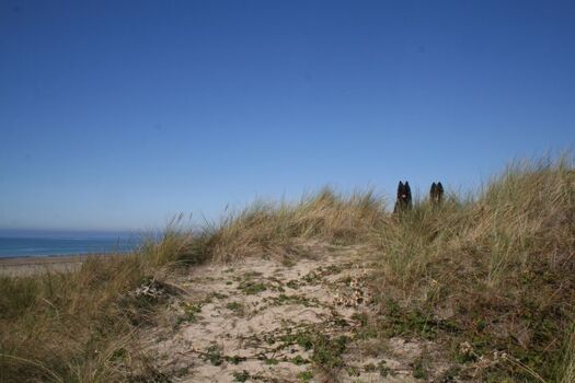 Hier fühlen Sie Zwei- und Vierbeiner wohl