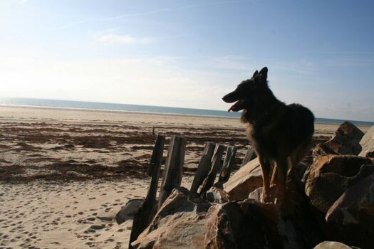 Sonne Strand und Meer