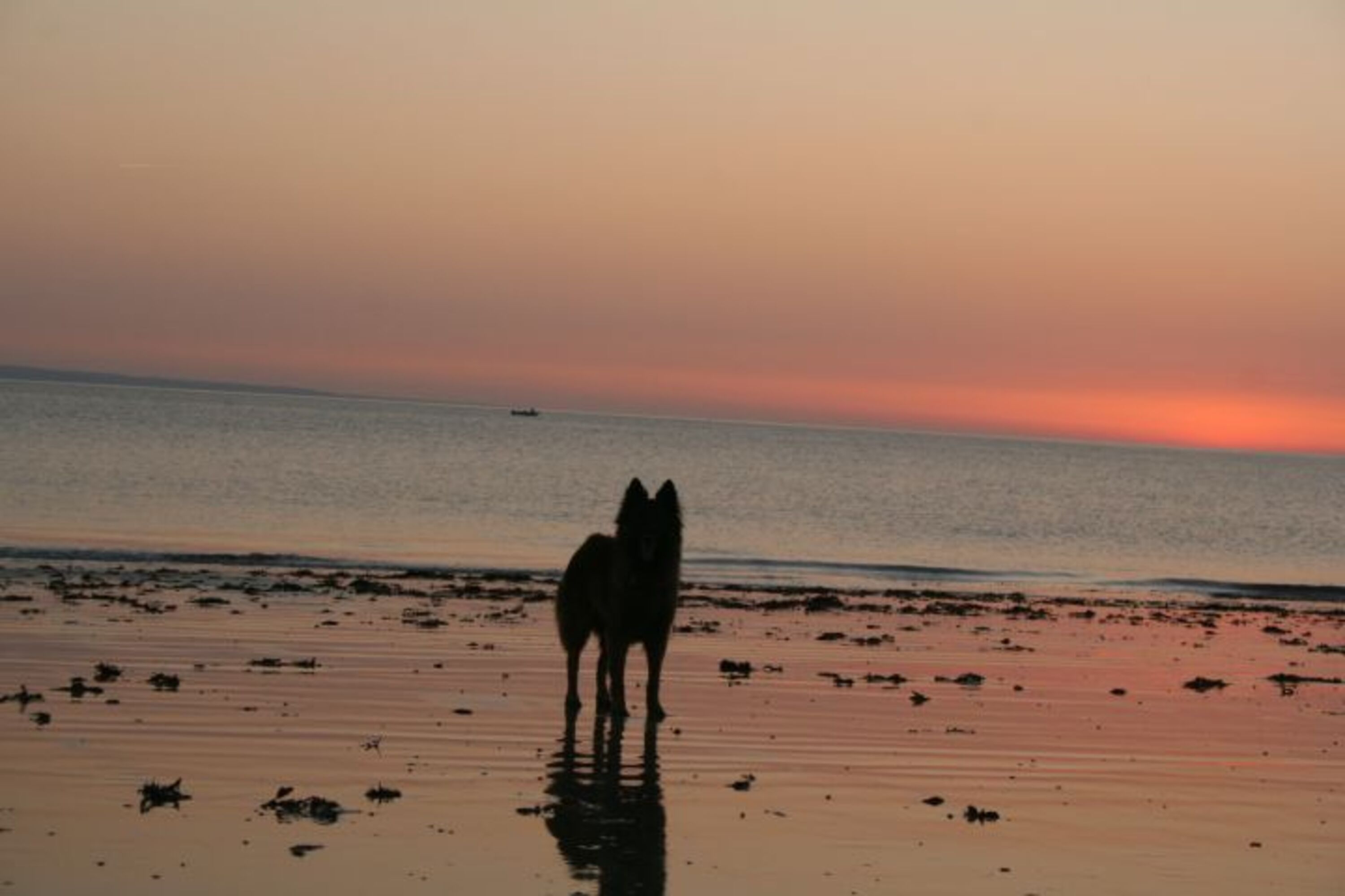 Bild 19