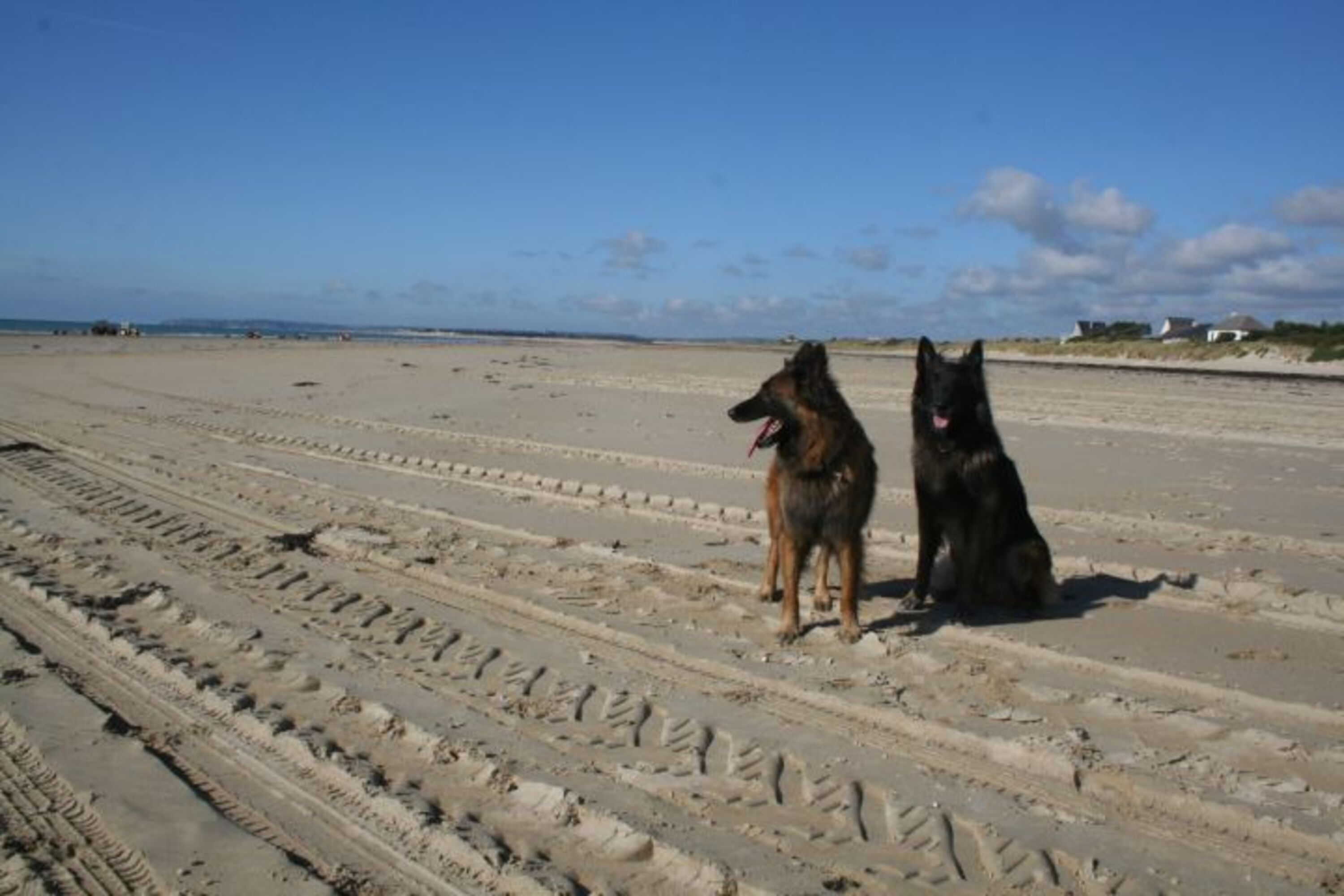 der kilometerlange Sandstrand