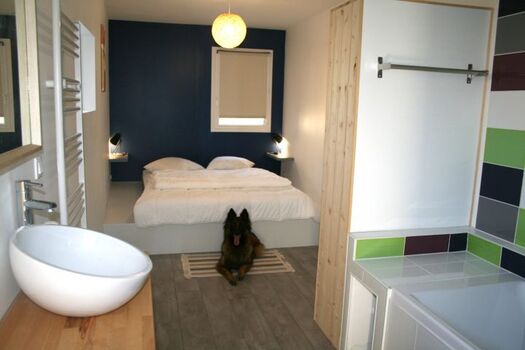 Schlafzimmer mit Badezimmer