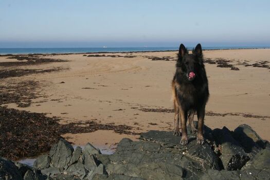 Strand von Barneville 
