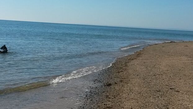 das Meer in Kürze erreichbar