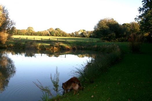der See vor der Haustüre