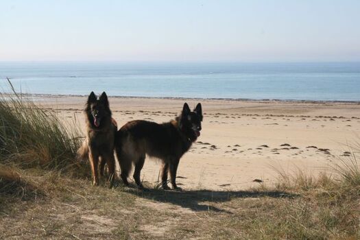 der Strand in der Normandie