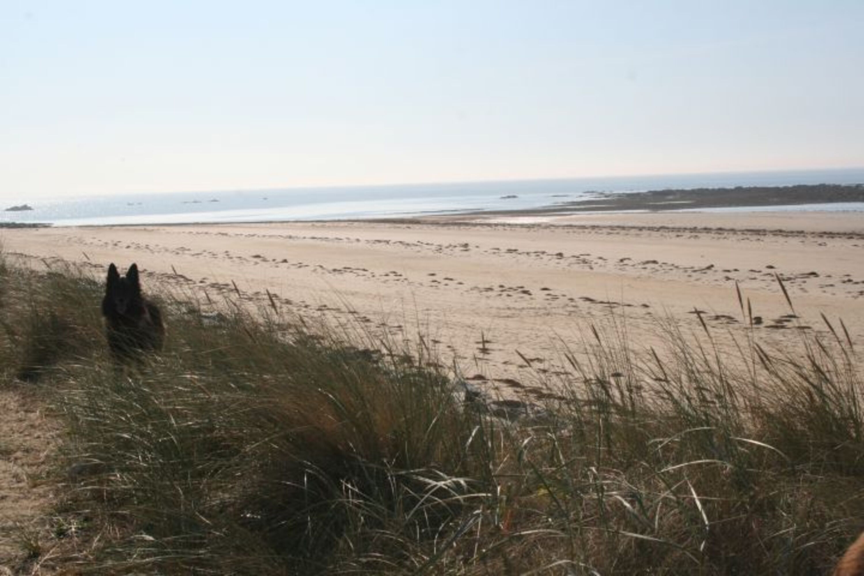 der Strand