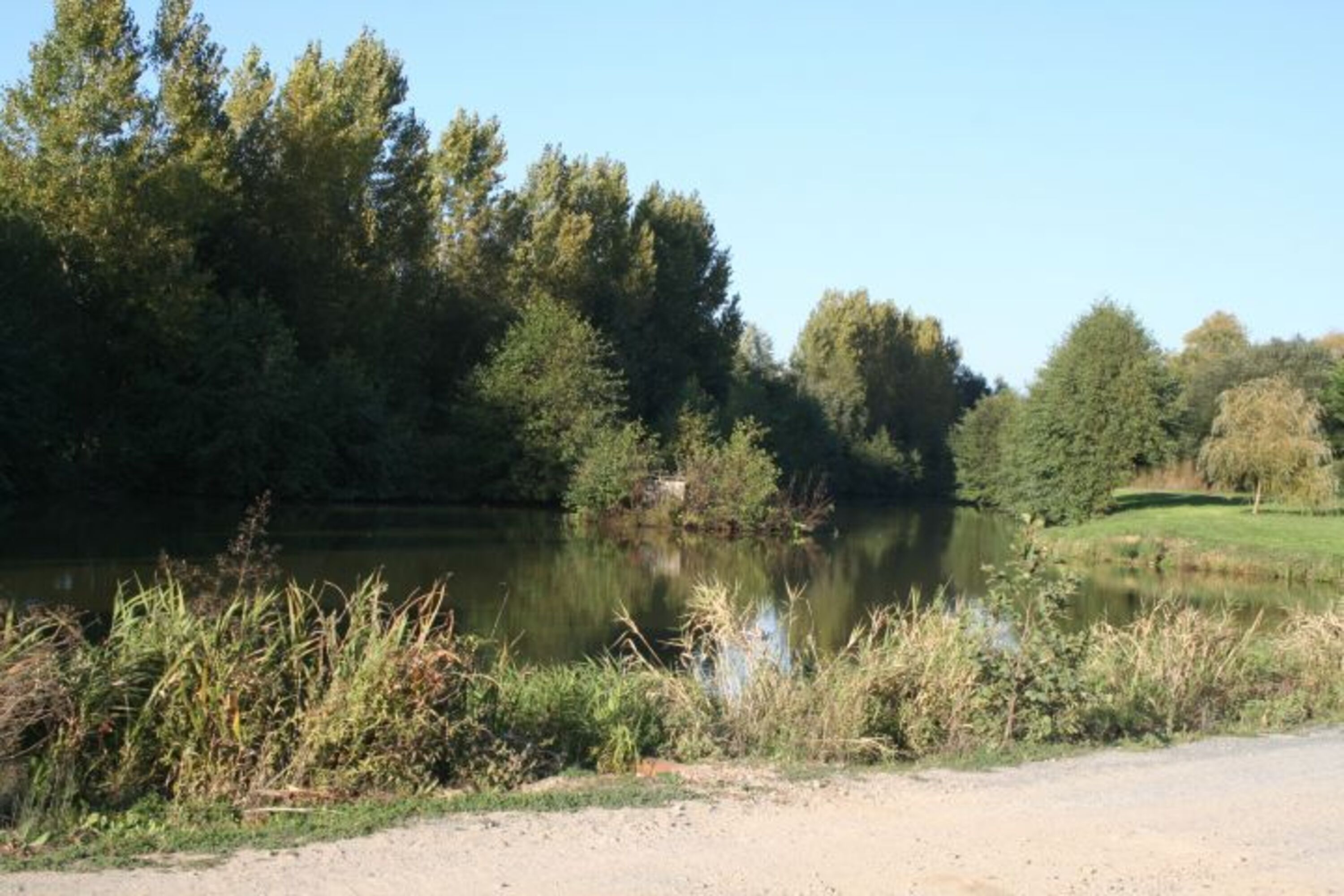 Angelsee