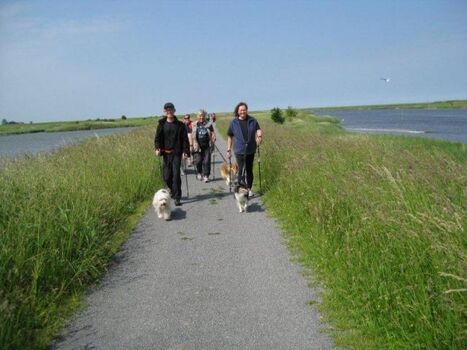 Nordic Walking mit Hund