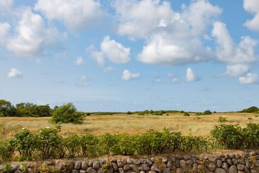 Ausblick von der Terrasse