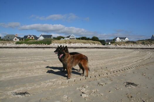 viel Platz zum Toben und Spielen am Strand