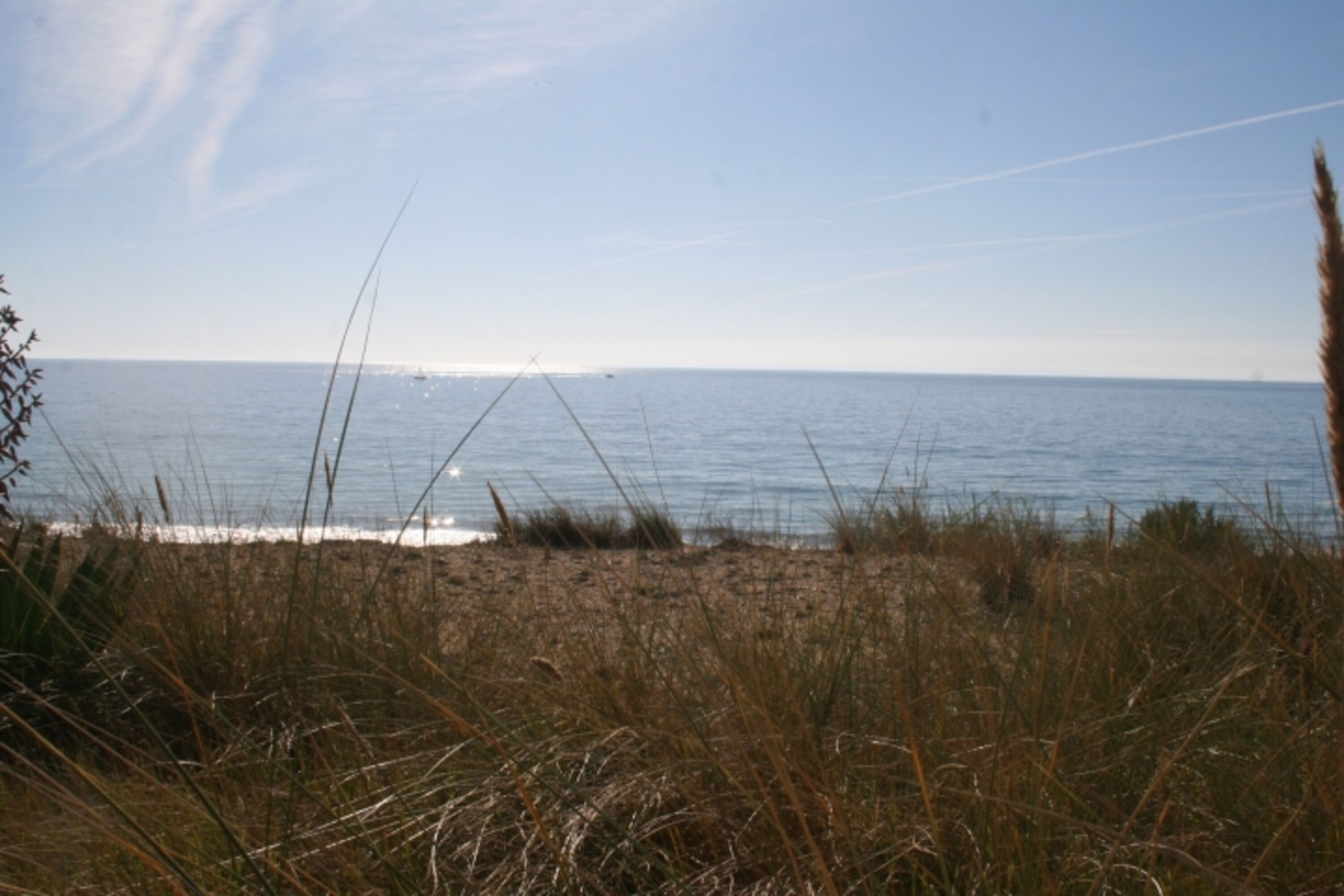 Bild 23
