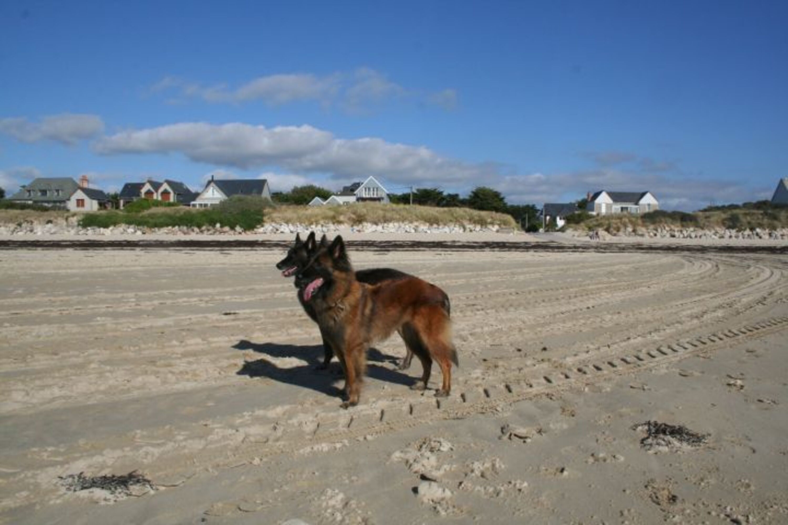 viel Platz zum Toben und Spielen am Strand