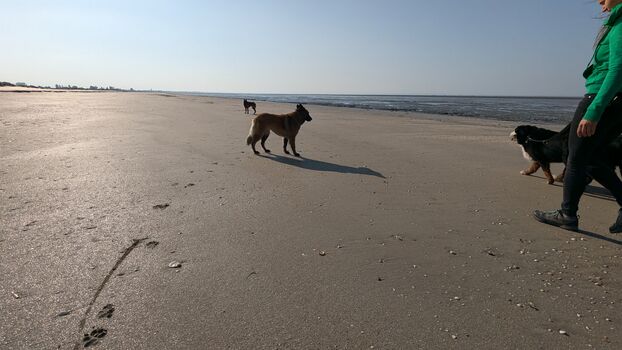 Hunde herzlich willkommen
