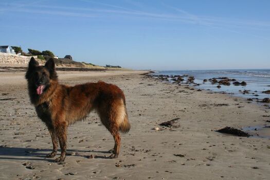 der Strand vor der "Haustüre"