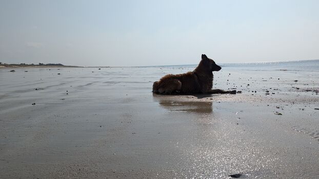 kilometerlanger Sandstrand