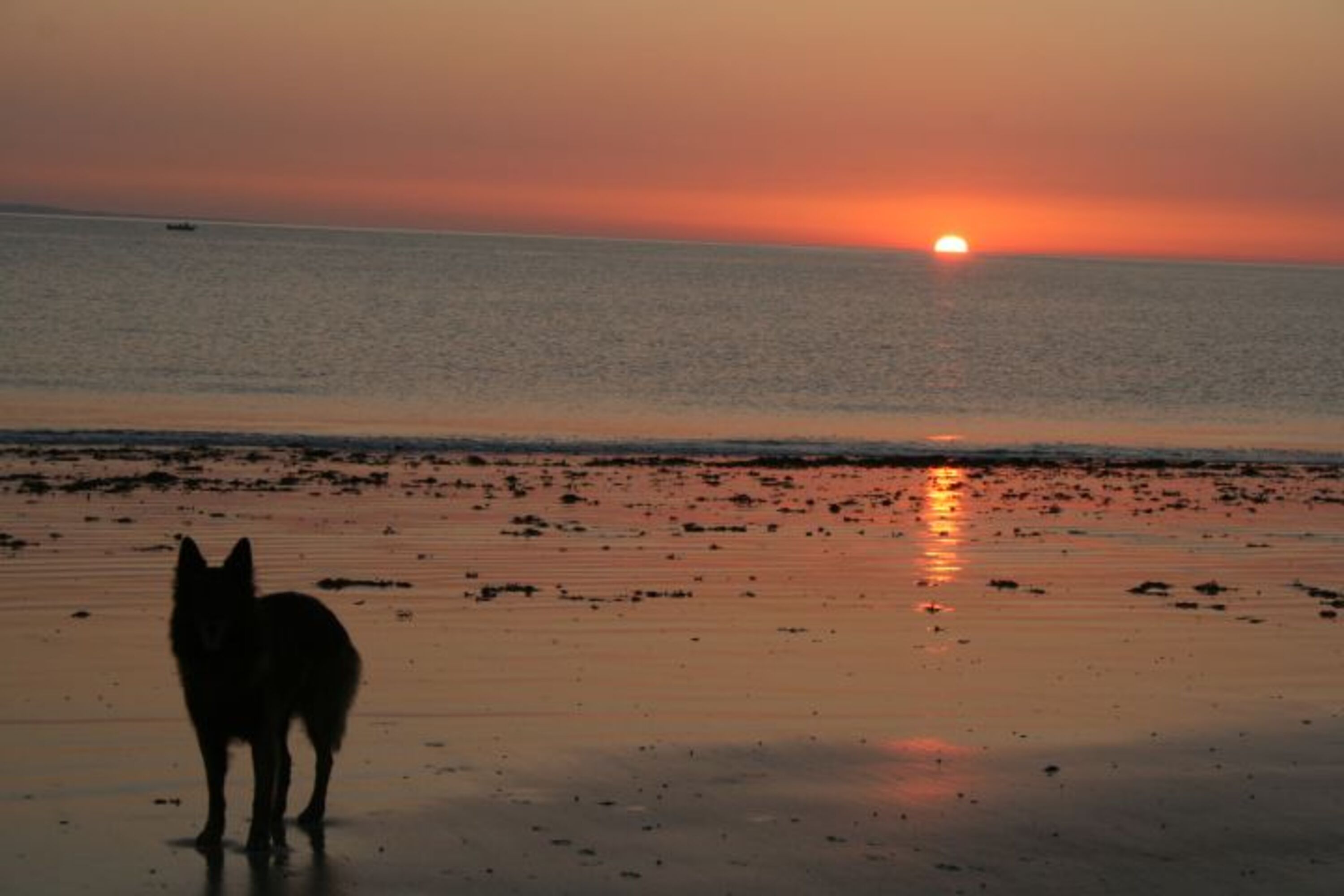 fantastische Sonnenuntergänge