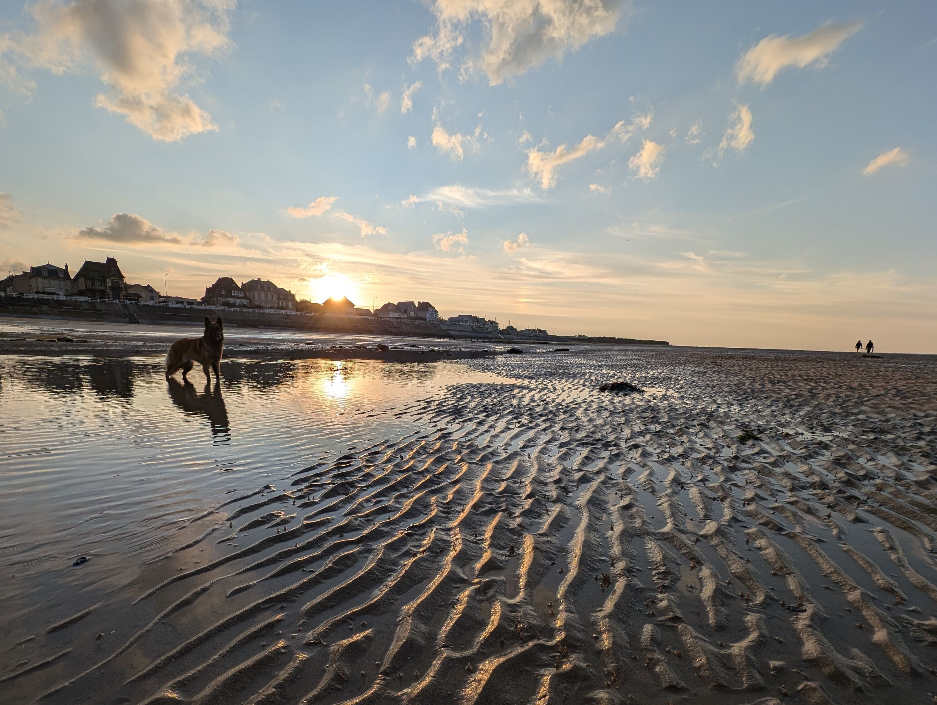 Urlaub mit dem Hund