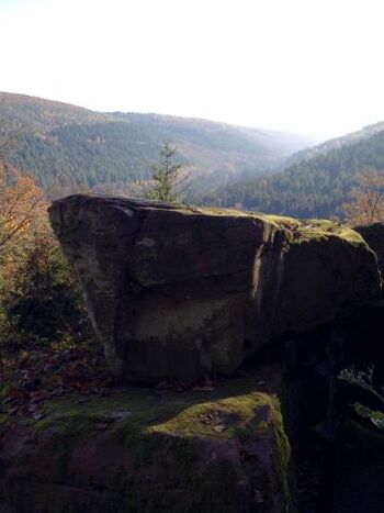 Gute Aussichten auf gute Erholung