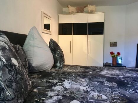 Hier kann man Schäfchen zählen