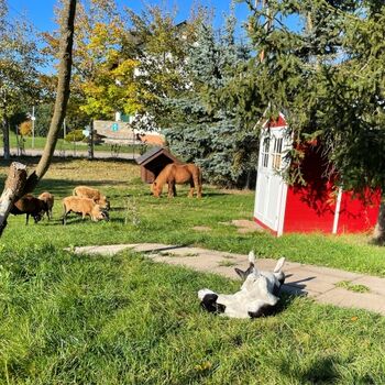 Eigener umzäunter Hundegarten