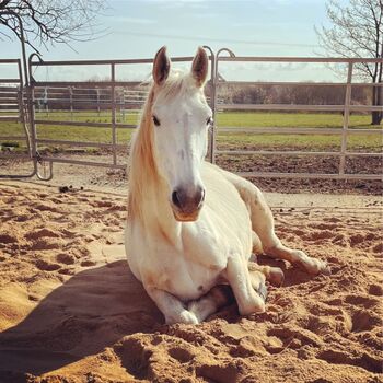 Einfach mal ausruhen