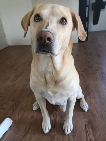 ob groß oder klein - wir dürfen auch mit !