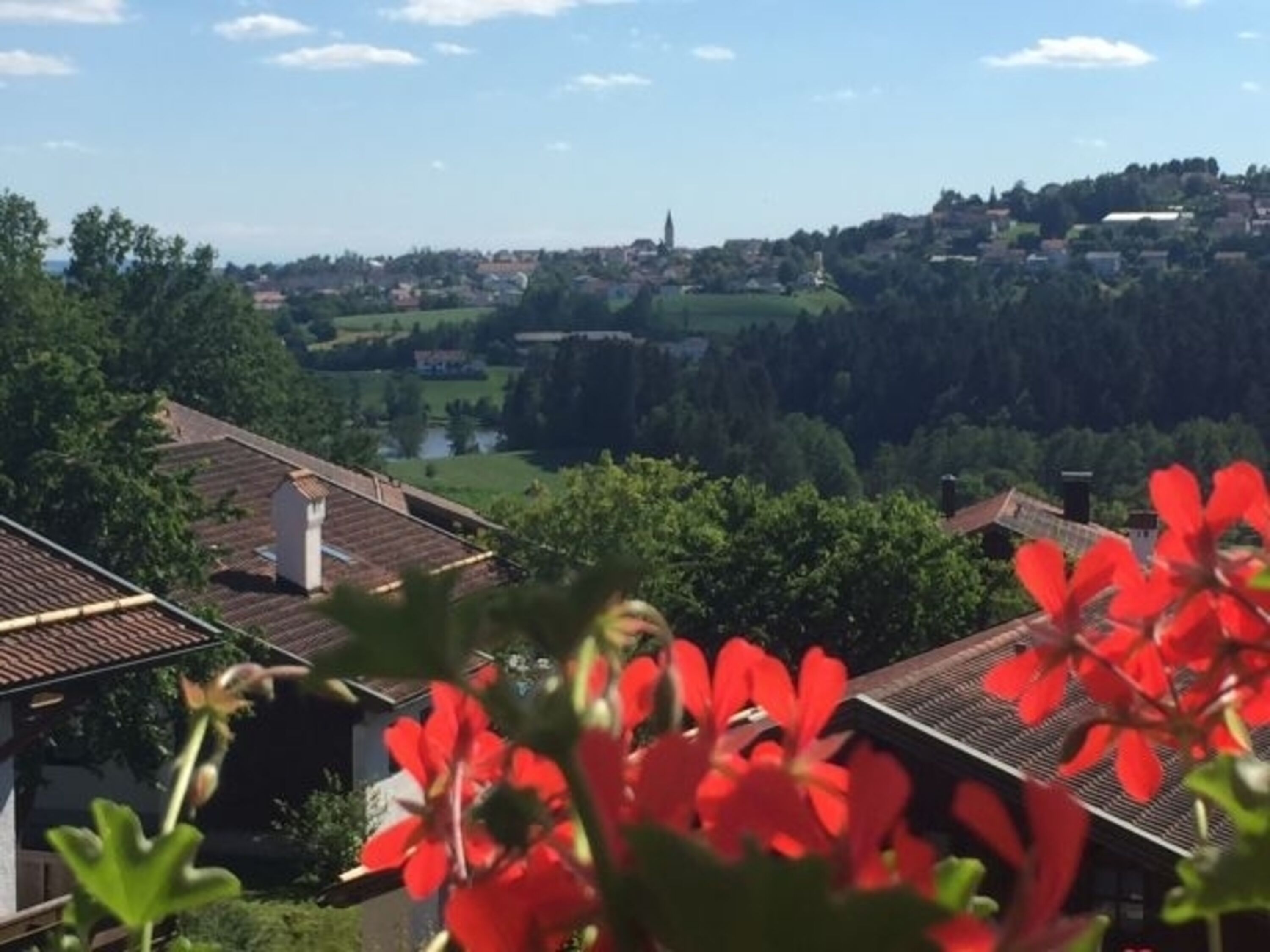 Blick nach Hauzenberg