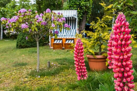 Ankerherz Strandkorb