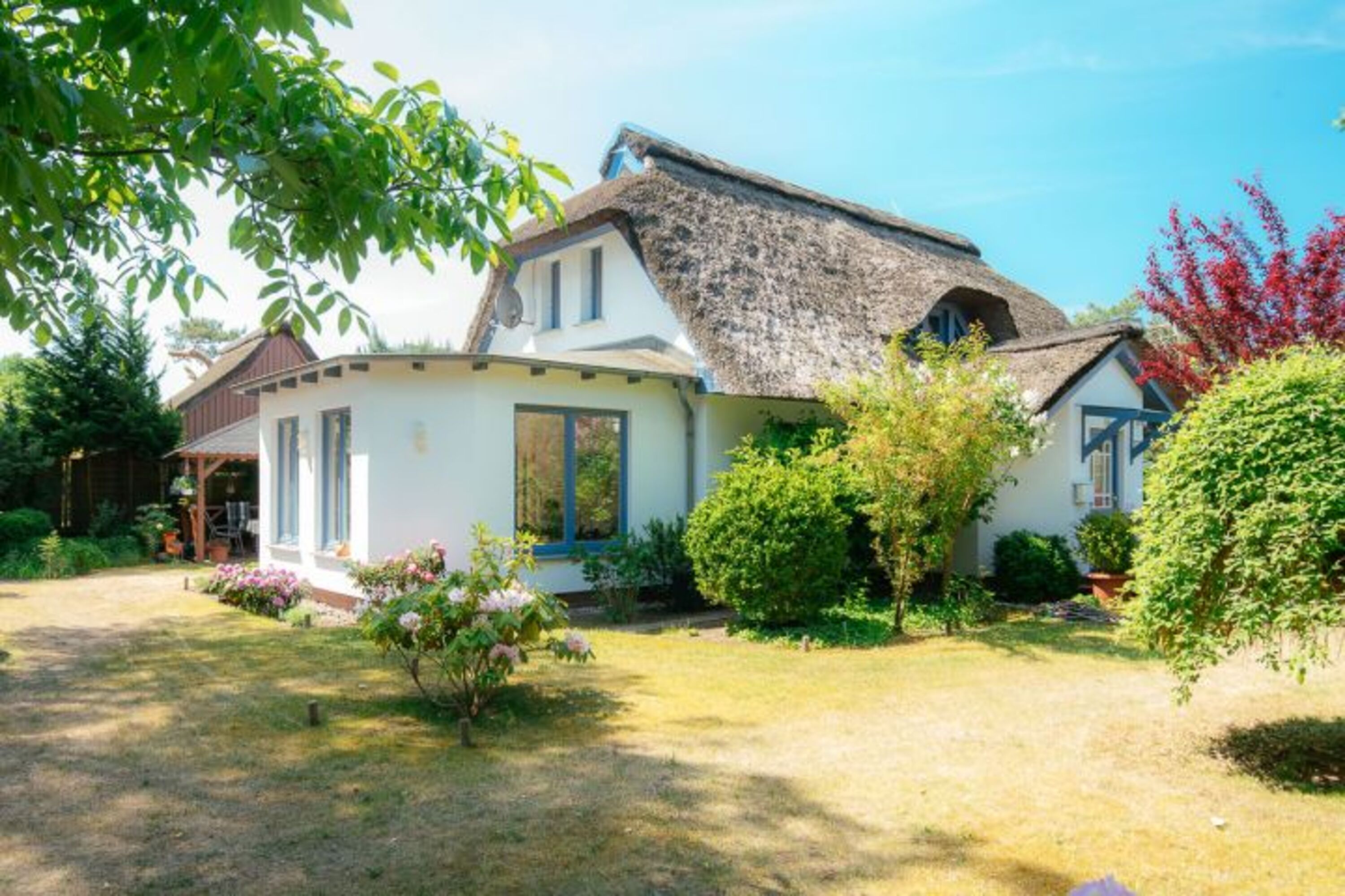 Reetdachhaus Ferienhaus Ankerherz