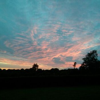 Abendstimmung von der Terrasse aus gesehen