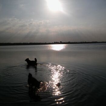Abend Bad an der Geltinger Bucht