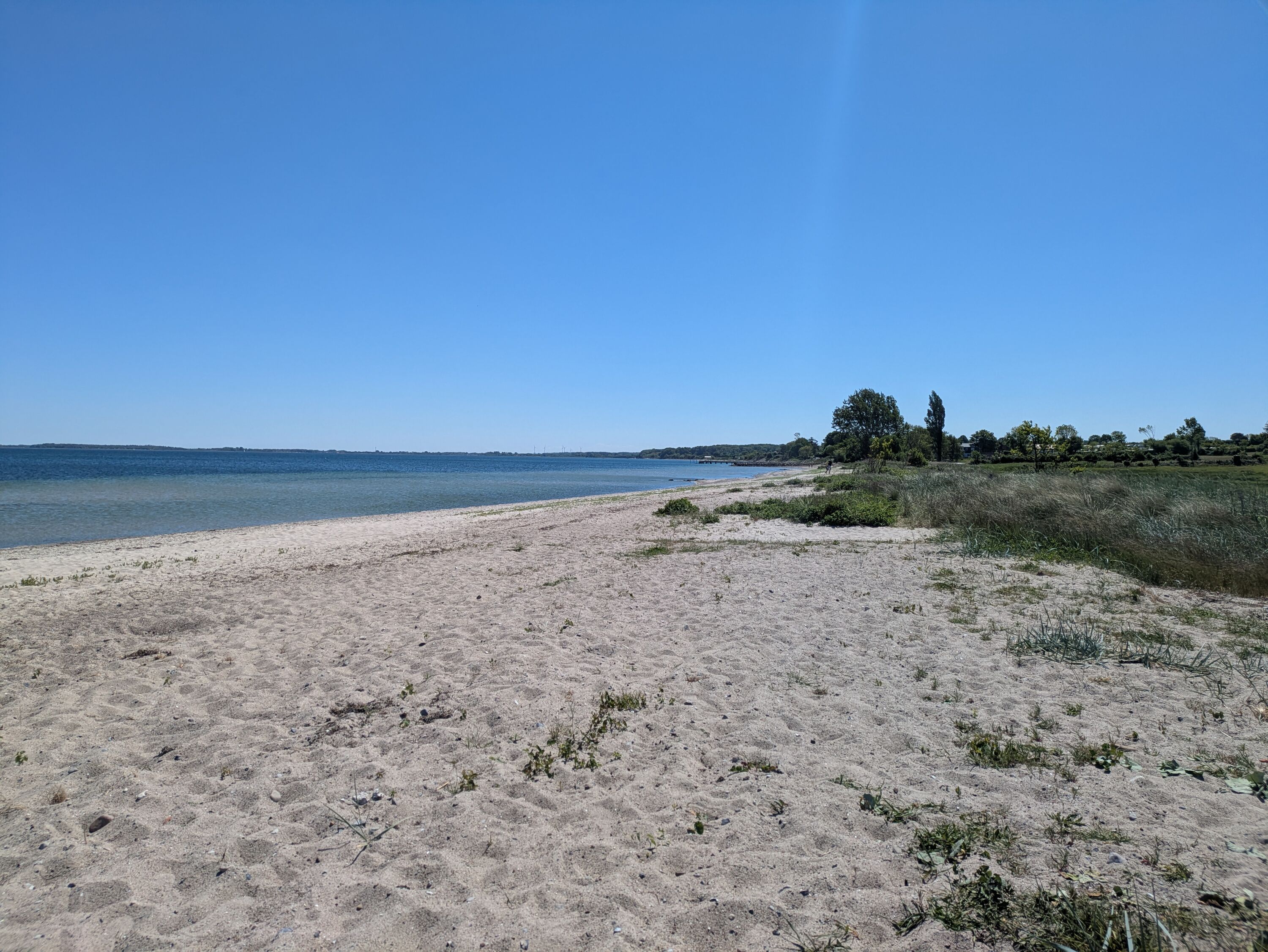 Strand Norgaardholz
