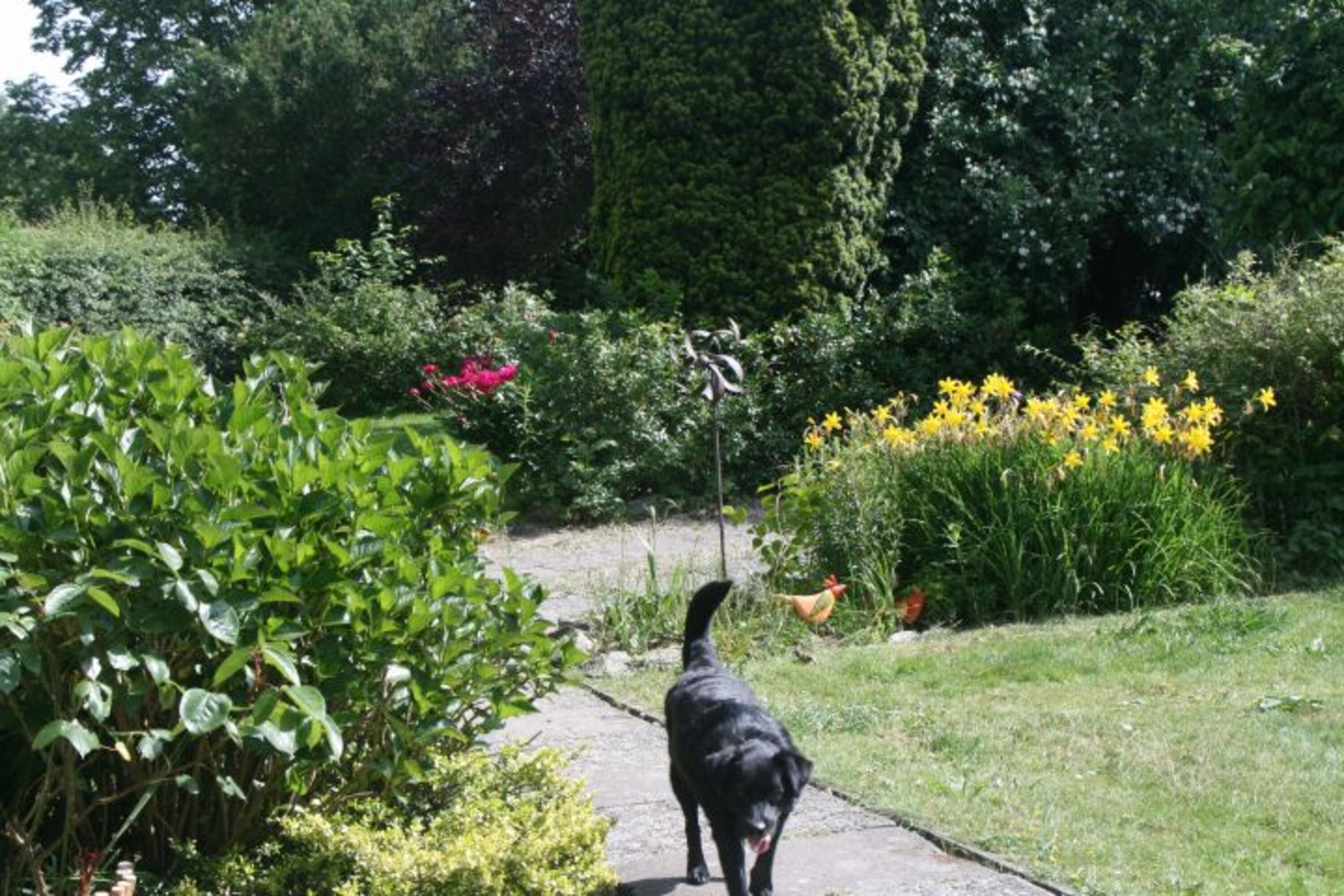 Garten vor dem Haus