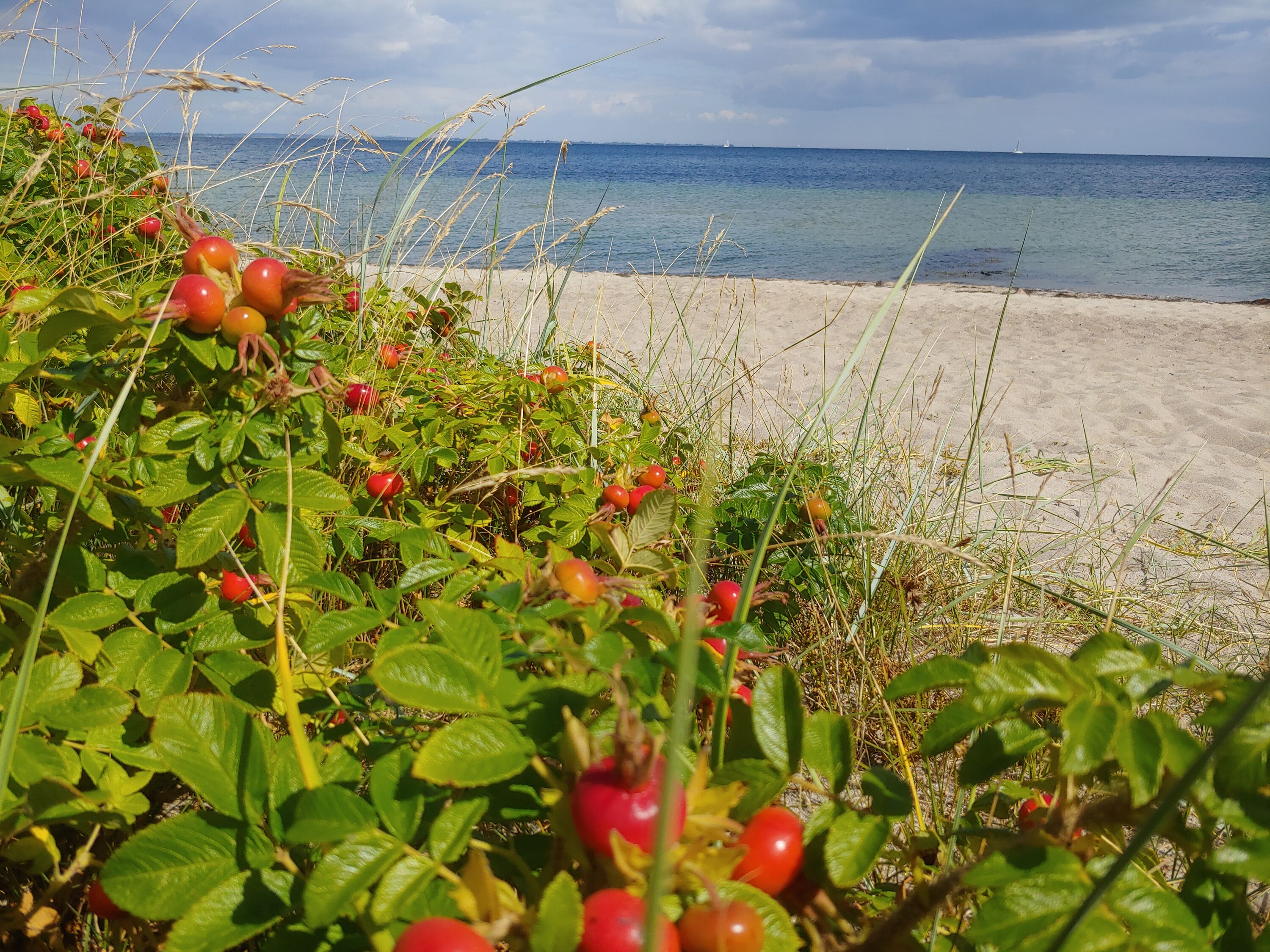 Naturstrand