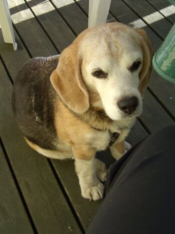 Wann gibt es  denn endlich was zu fressen?