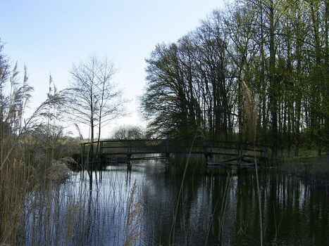 Der Tönnisbach fließt aus dem Glammsee in den Tempziner See