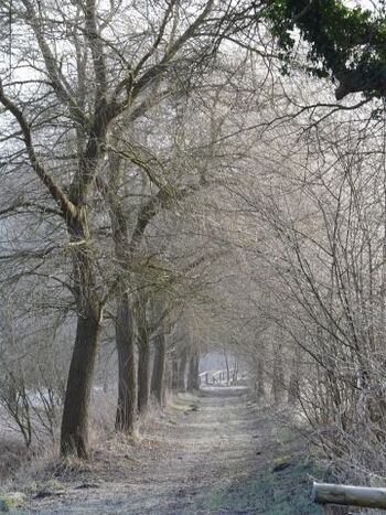 Auch der Winter hat seinen Reiz