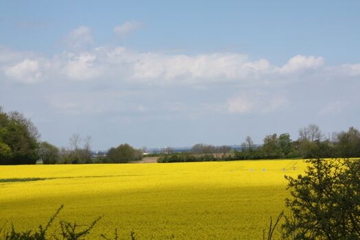 Ausblick nach Norden zur Geltinger Bucht