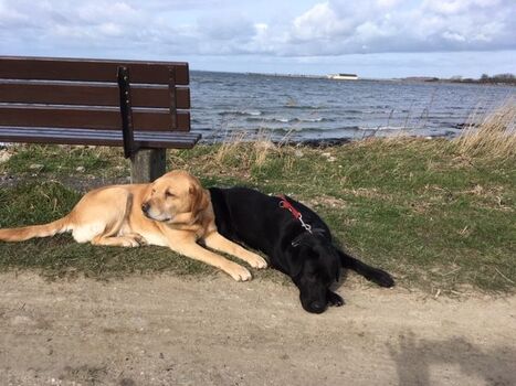 Ein Paradies (nicht nur für die Vierbeiner)